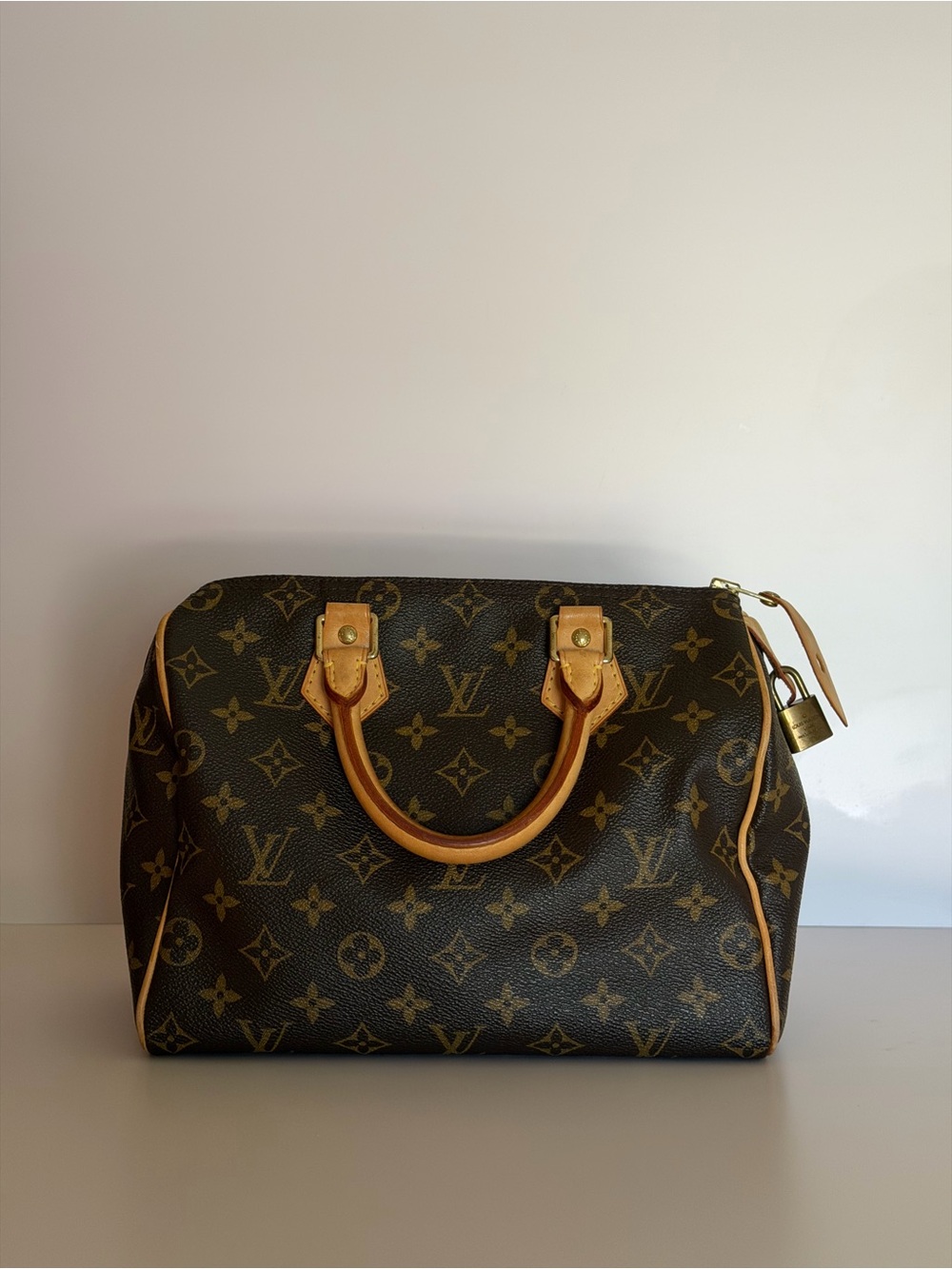 Louis Vuitton Speedy 25
